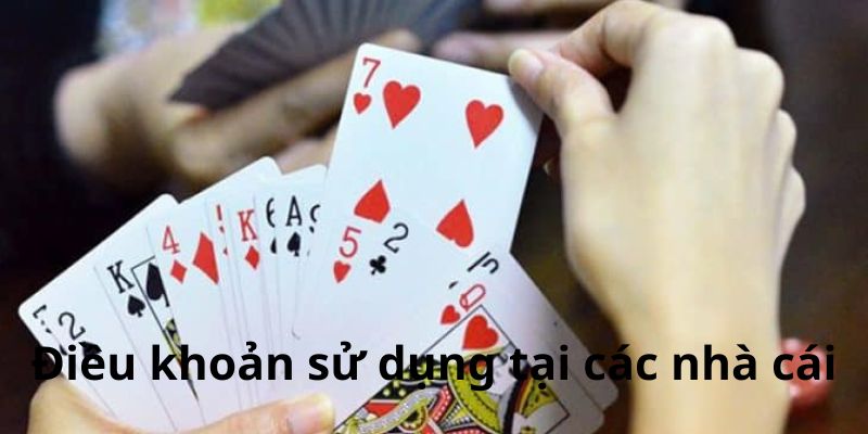 VZ99 quy định về việc sử dụng kèo cược tại nền tảng 